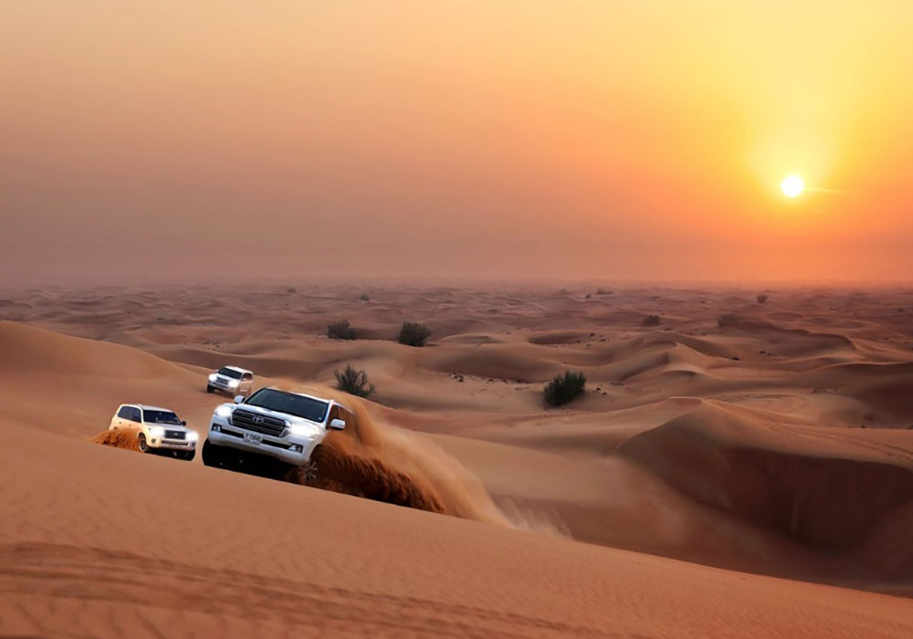 Thrilling Dune Bashing Adventure