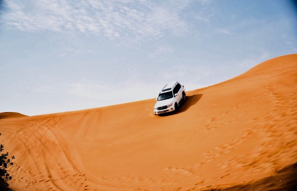 Dune Bashing: Thrilling Desert Adventure