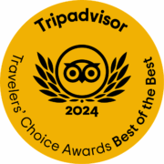 Trusted by Travelers Worldwide